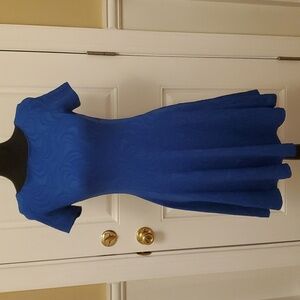 Pretty Textured Royal Blue Fit and Flare Dress